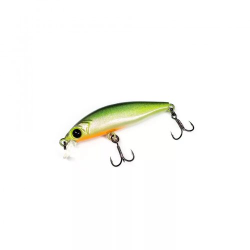 HFL FLASH MINNOW - DRAGONFISH LIMITED