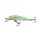 SALMO WOBBLER MINNOW M6F GT