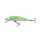 SALMO WOBBLER MINNOW M6SLBS