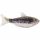 LIVETARGET 4.5” SHAD UNRIGGED OLIVE / PINK 115 MM   SINKING