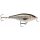 Rapala SHALLOW SHAD RAP SSR07 ROL