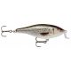 Rapala SHALLOW SHAD RAP SSR07 ROL