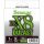 SEAGUAR DULAST PEX8 FLASH GREEN 150MPE0,6